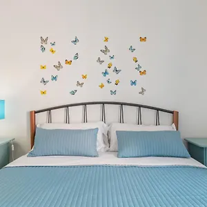 Butterfly Bolonia